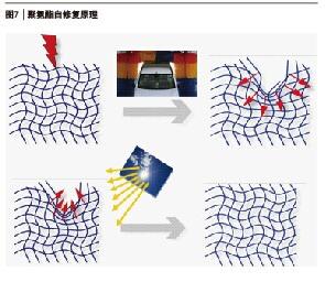 图7 聚氢酯自修复原理