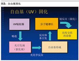 图2 自由基固化